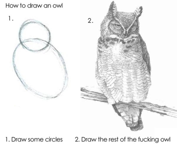 How to draw an owl. Draw some circles. Draw the rest of the fucking owl.